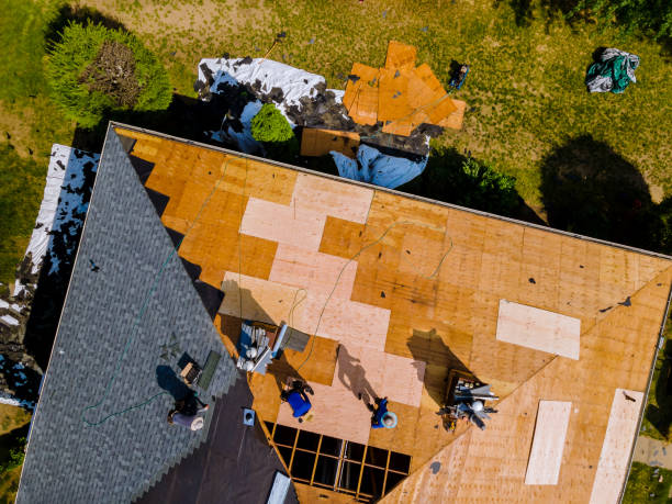 Best Flat Roof Repair Services  in Jemison, AL