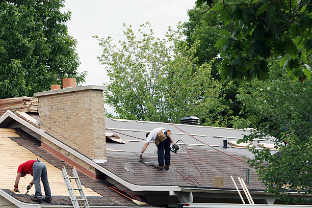 Best Roof Gutter Cleaning  in Jemison, AL