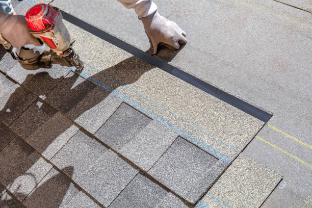 Best Local Roofing Companies  in Jemison, AL